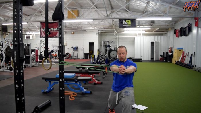 Split Stance Band Pallof Press