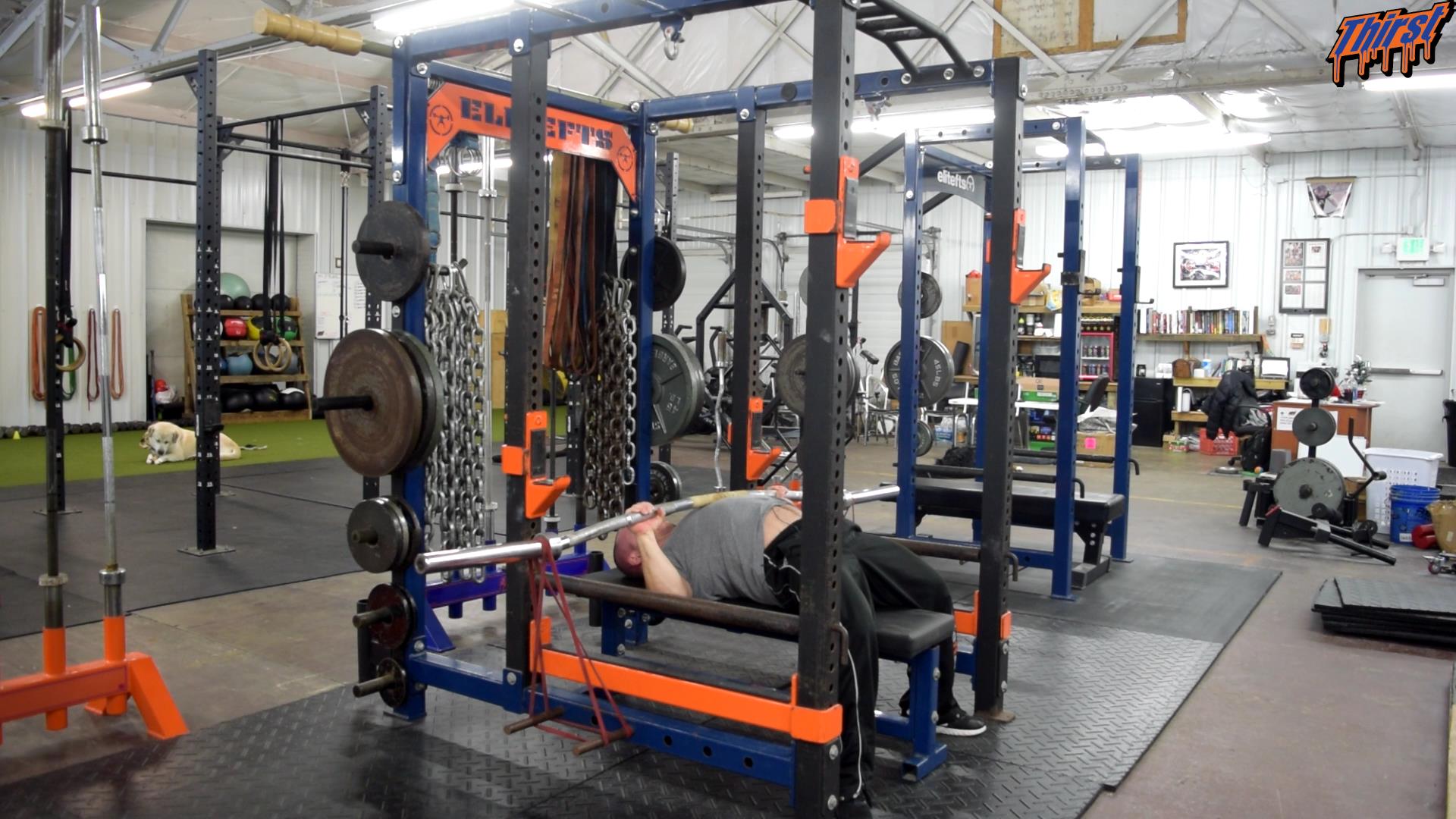 Buffalo Bar Bench Press vs Bands