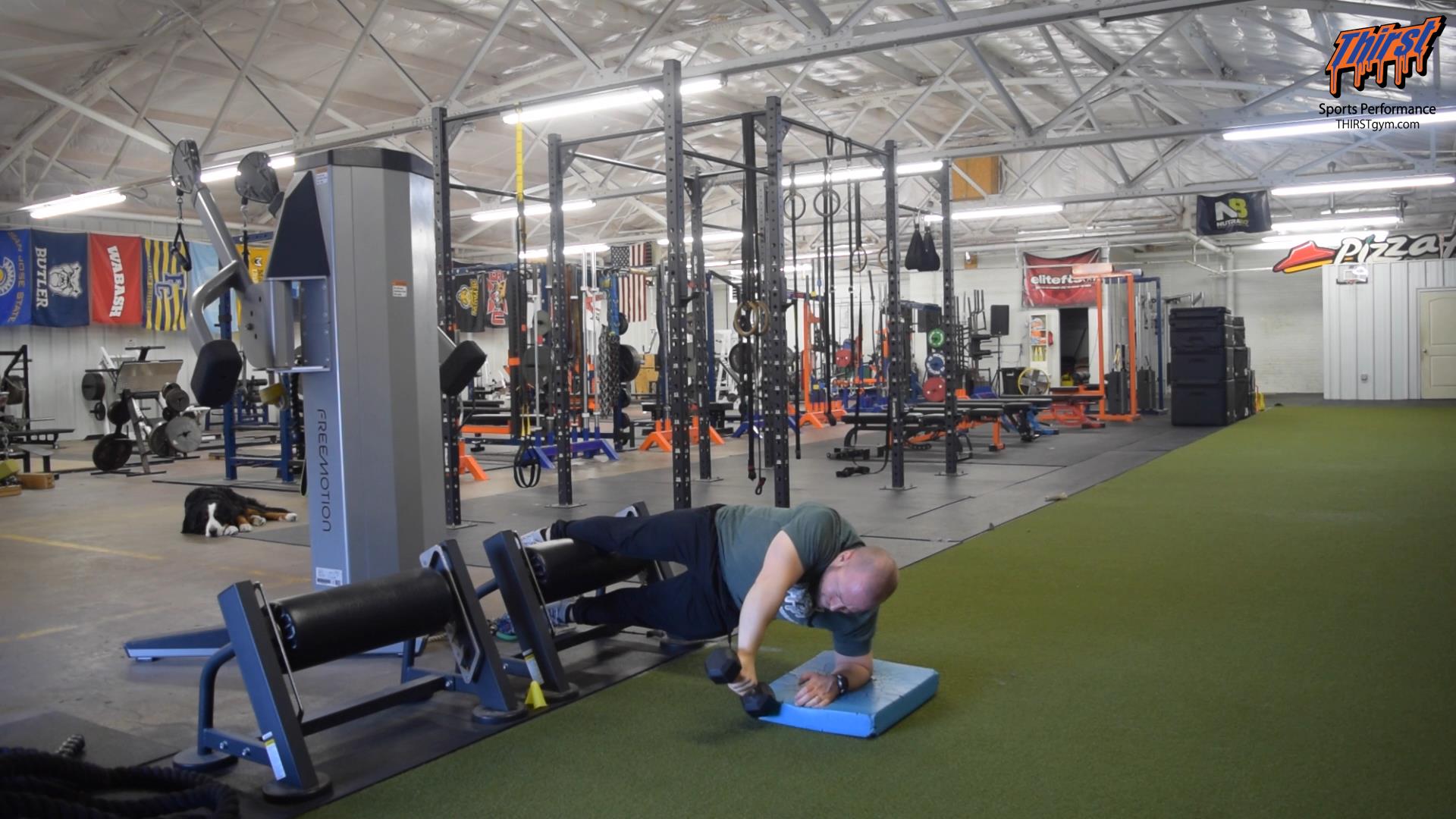 Copenhagen Plank Rear Delt Raise