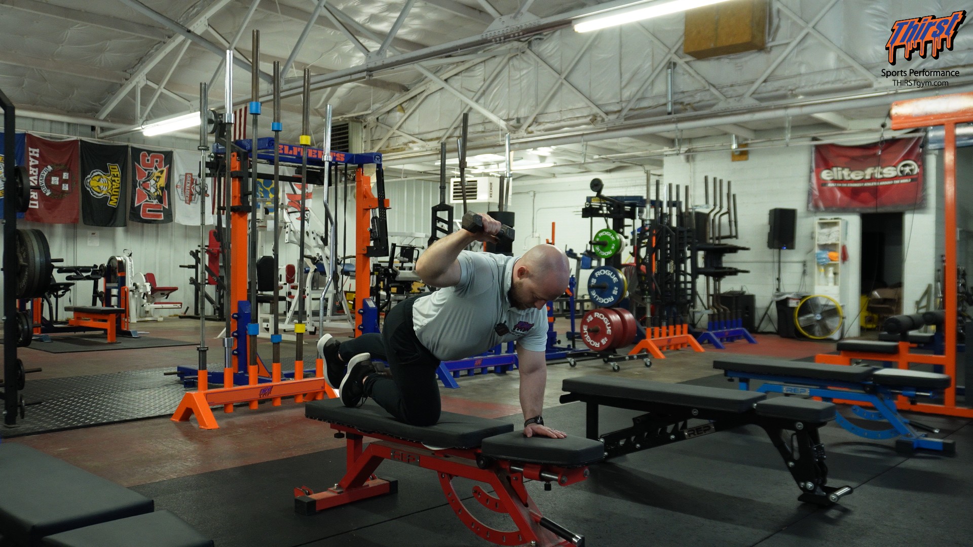 Bird Dog I, Y, T, W Complex