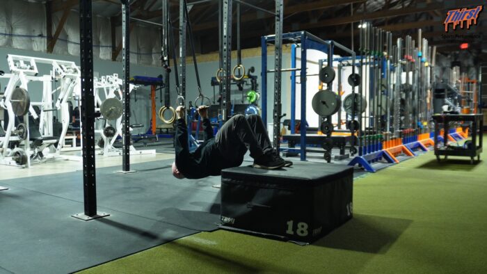 TRX Inverted Row With Hamstring Curl